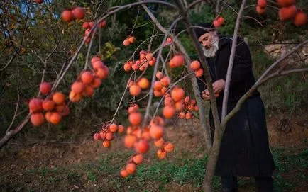 Ce este o mănăstire