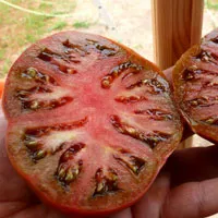 soiuri exotice de tomate