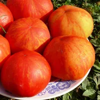 Екзотични сортове домати