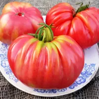 Екзотични сортове домати