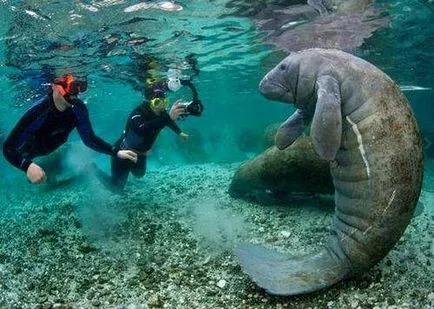 Excursii în lucruri Marsa Alam pentru a vedea