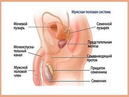 Ерозивен лечение баланит у дома