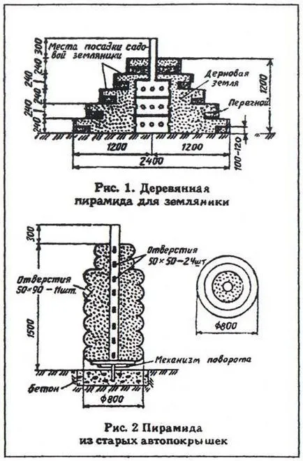 Енциклопедия технологии и техники - тайните на отглеждане на ягоди и ягоди