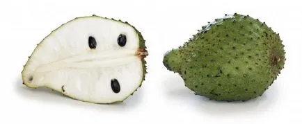 Къде расте guanabana guanabana как да отглеждат в дома