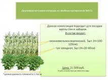 Завършени пейзажни композиции, решения за градината