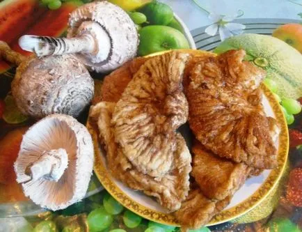 Mushroom чадър, годни за консумация и отровни, как да готвят, цветни, зачервените девойка, фалшиви, описание на това как