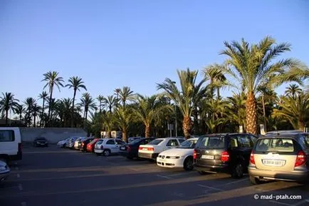 Spanyolország - Alicante, Elche utazási megjegyzi Ptah