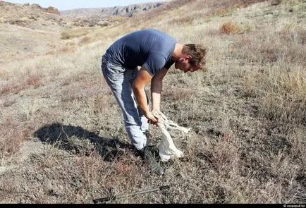 Hogyan szedd ki a mérget - Csak kíváncsi