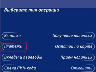 Ce zici de kiwi pungă pentru a pune bani, cum să finanțeze Qiwi