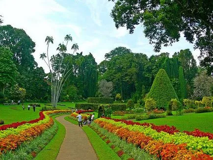 Care sunt cele mai interesante excursii în Sri Lanka