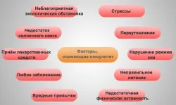 Как да се подобри и засили имунната система, природни и съоръжения за отдих д-р