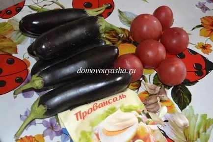 Как да се подготвите рулца от патладжан с домати и чесън, традиционните знания от Кравченко