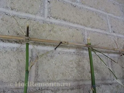 Cum sa faci o pergola de bambus pentru alpinism plante cu propriile lor mâini