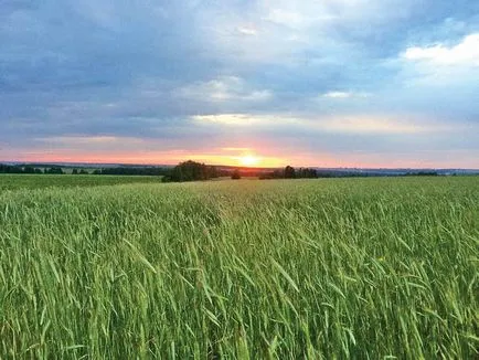 Как се става ловец, бързо и лесно!