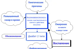 Hogyan lehet gyógyítani a 2. típusú cukorbetegség örökre