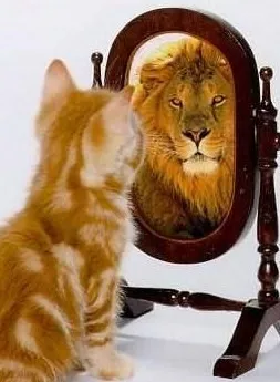 Cum de a alege o oglindă de înaltă calitate