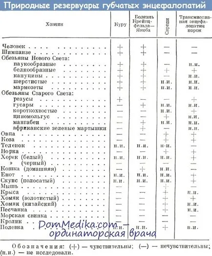 Класификация на патогени бавно инфекции