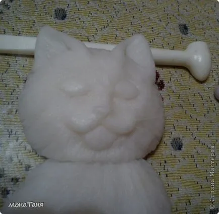 Cat hideg porcelán, a macska és a macska