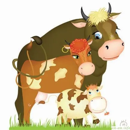 Кравето мляко е народът - зло или добро ᑞ масата (диета, твърди храни) ᑞ кърмя!