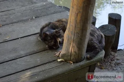 Zoo Safari Park Krasnodar, Krasnodar - „să nu se uite nervos