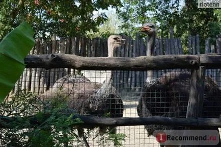 Zoo Safari Park Krasnodar, Krasnodar - „ne nézd ideges