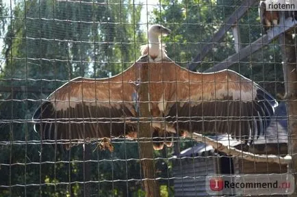 Zoo Safari Park Krasnodar, Krasnodar - „să nu se uite nervos