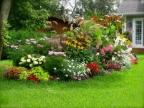 Лили крушки за защита срещу вредители, цветя в градината (имението)