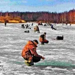 Prinderea viperei de pescuit din Rusia