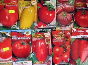 Най-добрите сортове домати до предградията ★ рейтингови класове, предимства и недостатъци