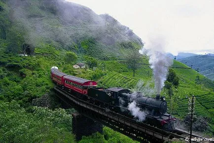 Cele mai bune locuri pentru a călători în Sri Lanka