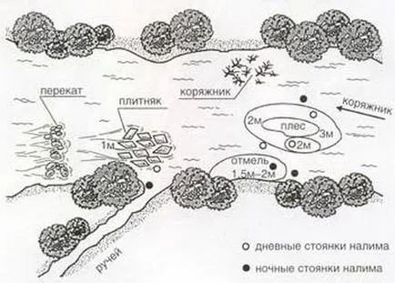 Риболов на михалица гриб редуктора и правила за инсталиране