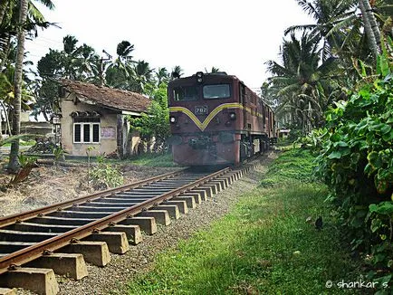 Cele mai bune locuri pentru a călători în Sri Lanka