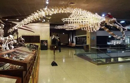 Музеят на изкуствата в Милуоки, САЩ - крилат музей, снимки