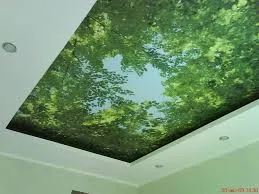 Окачен таван с печат