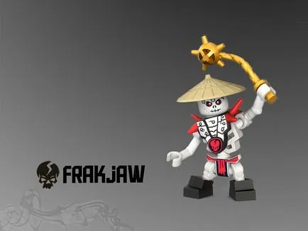 Ninjago 2257 Spinjitzu - Starter Kit - comentarii LEGO® - Forum fan Română Lego