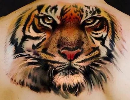 Rendeltetése börtön tetoválás - tigris börtön területén, letartóztatás, fogolytábor