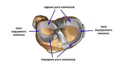 Chirurgie pe meniscul articulației genunchiului pentru a rupe și daune - costul tratamentului meniscului