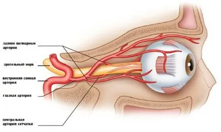 Elzárása a központi retinális artériás - Causes, tünetek és kezelés