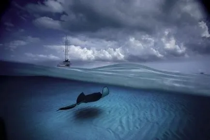 Nagyon szép kép, a víz alatti világ (105 db) - triniksi