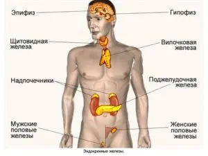 Az atherosclerosis - szövődmények, megelőzésére és kezelésére