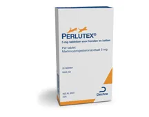 Perlutex - contracepție sigură pentru pisici și câini