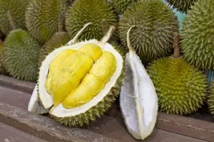 Hasznos tulajdonságai Thai egzotikus gyümölcs Durian