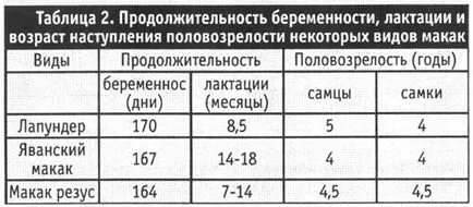 Говорете за маймуни