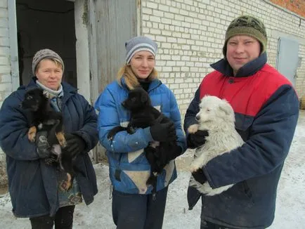 От другата страна на камерата в действителност кучета живеят в Южна украински сиропиталище, контакт, уеб сайта