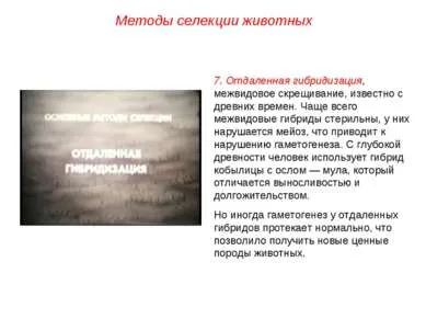 Представяне - основните методи за отглеждане на животни - свободно изтегляне