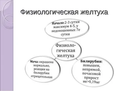 Prezentarea pe tema - diagnosticul diferențial al icter neonatal - descărcare prezentari