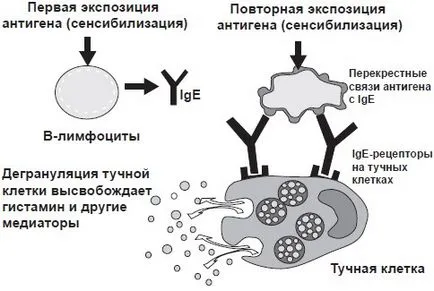 Бронхиалната астма атака