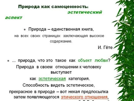 Природата като истинската стойност на естетиката - Представяне 197049-3