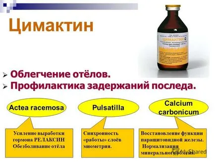 privind prezentarea prevenirea și tratamentul bolilor obstetricale și ginecologice la vaci