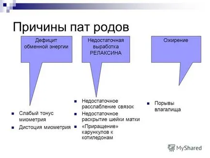 privind prezentarea prevenirea și tratamentul bolilor obstetricale și ginecologice la vaci